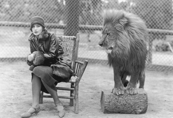 Грета Гарбо рядом со львом Лео — символом MGM. Несмотря на ранний уход из кино, актриса осталась одним из главных символов эпохи классического Голливуда